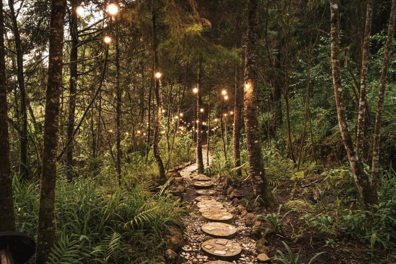 Отель Oculto Refugio De Bosque Энвигадо Экстерьер фото