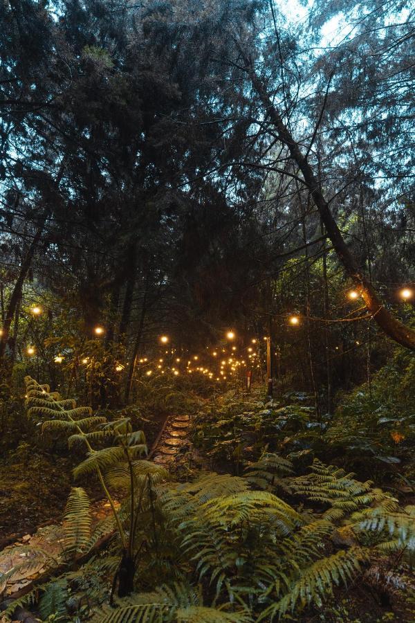 Отель Oculto Refugio De Bosque Энвигадо Экстерьер фото
